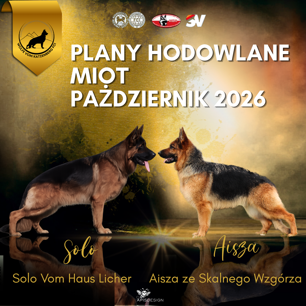 Planowany Miot — Październik 2026